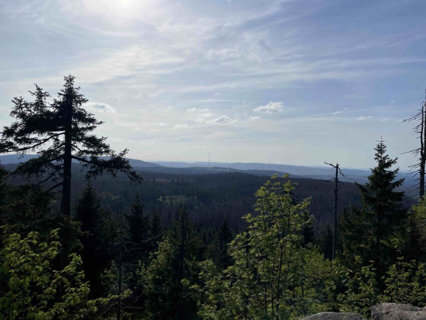 Ausblick vom Hexenstieg über den Harz